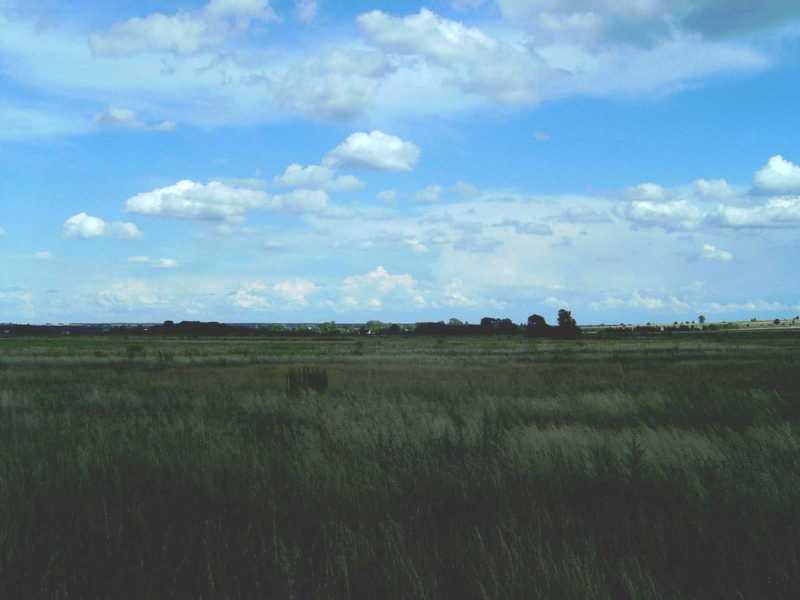 Polish countryside